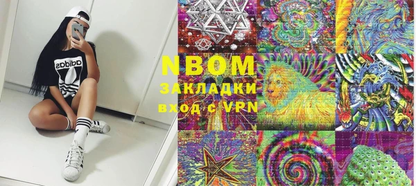 СК Вязьма
