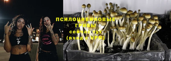 круглые Горняк