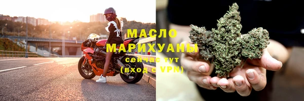 СК Вязьма