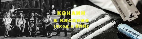 ПСИЛОЦИБИНОВЫЕ ГРИБЫ Вязники