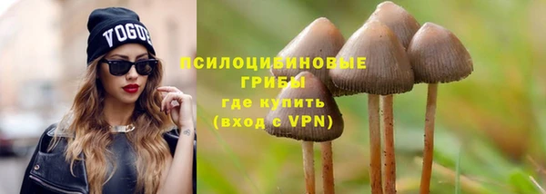 ПСИЛОЦИБИНОВЫЕ ГРИБЫ Вязники