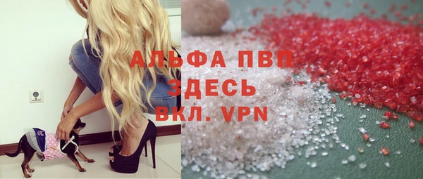 ПСИЛОЦИБИНОВЫЕ ГРИБЫ Вязники